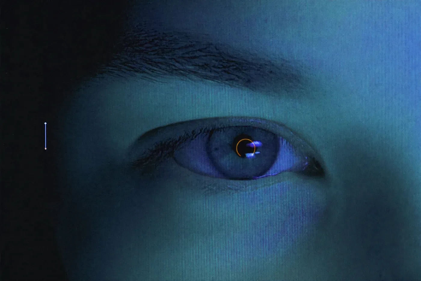 A close-up of an eye being tracked by software